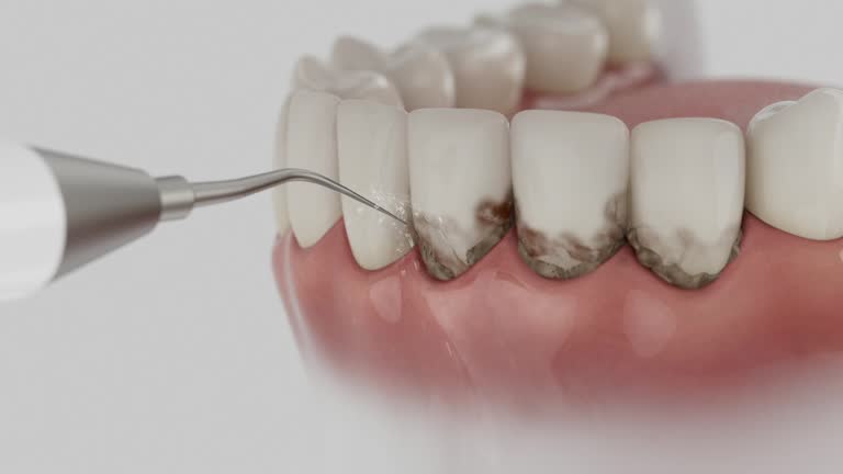 Reliable Dental contractor in St. Clair, PA by Dentist Open Now